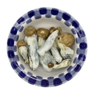 Penis Envy Magic Mushroomss